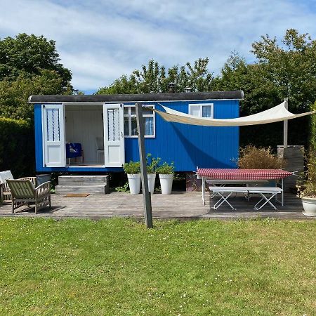 Hotel Little Blue House Oostvoorne Zewnętrze zdjęcie
